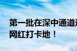 第一批在深中通道违停的人已老实 这可不是网红打卡地！