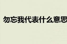 勿忘我代表什么意思 深入解析其寓意与象征