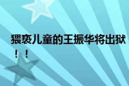 猥亵儿童的王振华将出狱 王晓松花五年时间收拾“烂摊子”！！