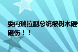 委内瑞拉副总统被树木砸伤 伤势很重 在洪水灾区视察时遭砸伤！！