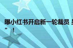 曝小红书开启新一轮裁员 员工：工龄久的人被称为“活化石”！