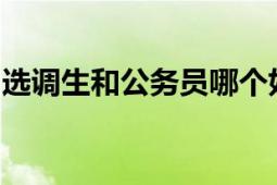 选调生和公务员哪个好：对比分析与选择建议