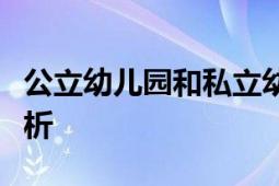 公立幼儿园和私立幼儿园哪个好：全面对比解析