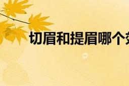 切眉和提眉哪个效果好？比较与分析