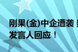 刚果(金)中企遭袭 数名中国公民死亡 外交部发言人回应！