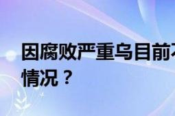 因腐败严重乌目前不适合加入北约 具体什么情况？