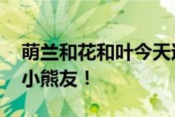 萌兰和花和叶今天过生日 一直做健康快乐的小熊友！