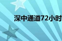 深中通道72小时通车超30.5万车次！