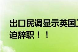 出口民调显示英国工党赢得大选 苏纳克或被迫辞职！！