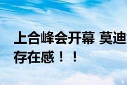 上合峰会开幕 莫迪为何缺席 专家：印度在刷存在感！！