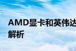 AMD显卡和英伟达显卡哪个更好？全面对比解析