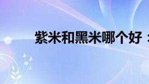 紫米和黑米哪个好：全面对比解析