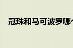 冠珠和马可波罗哪个更好？全面对比解析