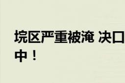 垸区严重被淹 决口宽约220米 现正合龙封堵中！