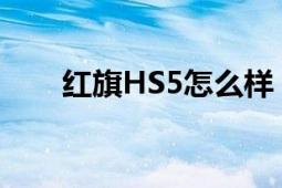 红旗HS5怎么样？全方位解析给你听