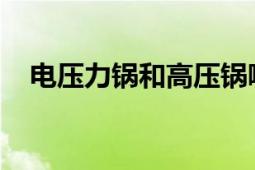 电压力锅和高压锅哪个好？全面对比解析