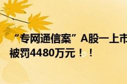 “专网通信案”A股一上市公司12年造假上百亿元 多家合计被罚4480万元！！