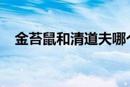 金苔鼠和清道夫哪个更好：全面对比解析