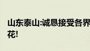 山东泰山:诚恳接受各界批评 0比6惨败上海申花!