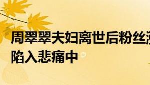 周翠翠夫妇离世后粉丝涨超2倍 孩子尚幼家人陷入悲痛中