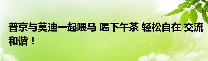 普京与莫迪一起喂马 喝下午茶 轻松自在 交流和谐！