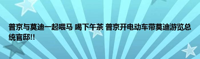 普京与莫迪一起喂马 喝下午茶 普京开电动车带莫迪游览总统官邸!!