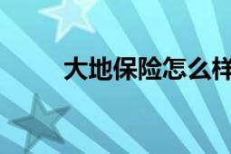 大地保险怎么样？全面解析与评价