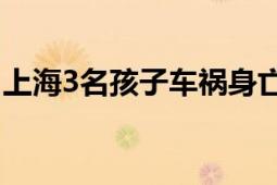 上海3名孩子车祸身亡?谣言 视频是拼接而成！