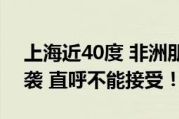 上海近40度 非洲朋友:不习惯不接受 高温来袭 直呼不能接受！