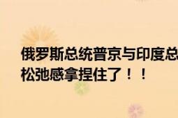 俄罗斯总统普京与印度总理莫迪一起喂马 喝下午茶 网友：松弛感拿捏住了！！