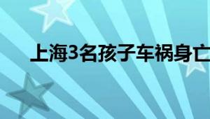 上海3名孩子车祸身亡?谣言 切勿轻信！