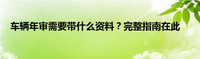 车辆年审需要带什么资料？完整指南在此