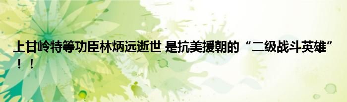 上甘岭特等功臣林炳远逝世 是抗美援朝的“二级战斗英雄”！！