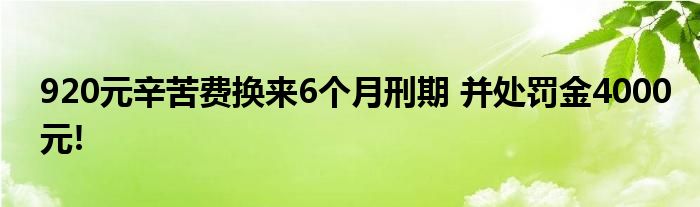 920元辛苦费换来6个月刑期 并处罚金4000元!