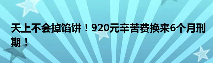 天上不会掉馅饼！920元辛苦费换来6个月刑期！