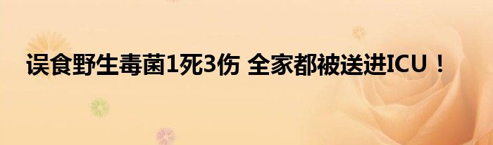 误食野生毒菌1死3伤 全家都被送进ICU！