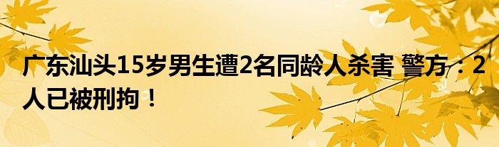 广东汕头15岁男生遭2名同龄人杀害 警方：2人已被刑拘！