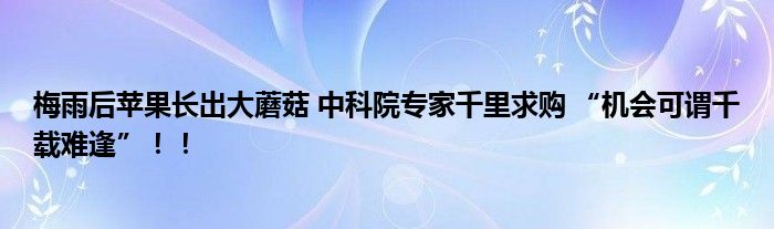 梅雨后苹果长出大蘑菇 中科院专家千里求购 “机会可谓千载难逢”！！