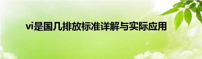 vi是国几排放标准详解与实际应用