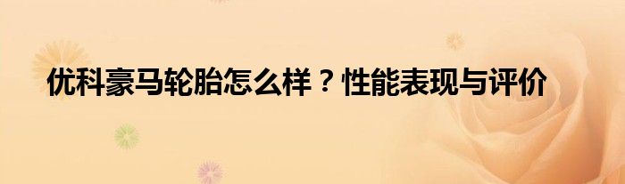 优科豪马轮胎怎么样？性能表现与评价