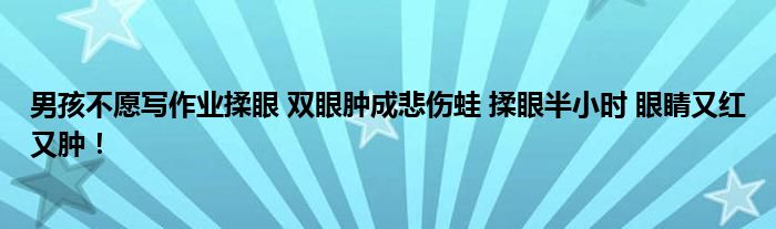 男孩不愿写作业揉眼 双眼肿成悲伤蛙 揉眼半小时 眼睛又红又肿！