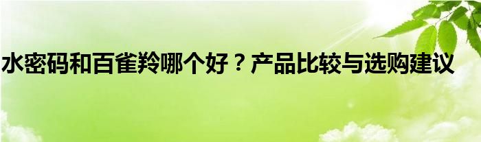 水密码和百雀羚哪个好？产品比较与选购建议