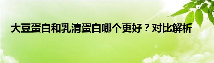 大豆蛋白和乳清蛋白哪个更好？对比解析