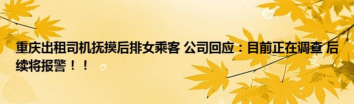 重庆出租司机抚摸后排女乘客 公司回应：目前正在调查 后续将报警！！