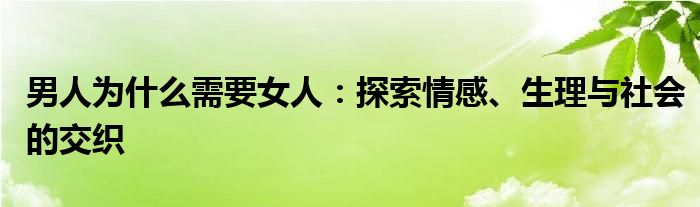 男人为什么需要女人：探索情感、生理与社会的交织