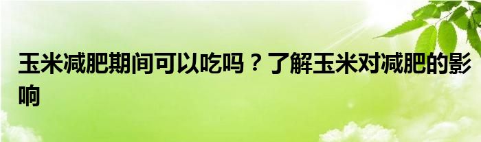 玉米减肥期间可以吃吗？了解玉米对减肥的影响