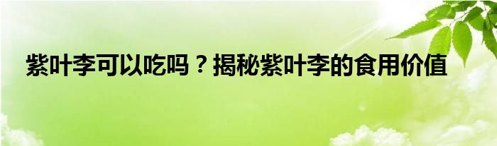 紫叶李可以吃吗？揭秘紫叶李的食用价值