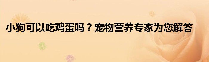 小狗可以吃鸡蛋吗？宠物营养专家为您解答