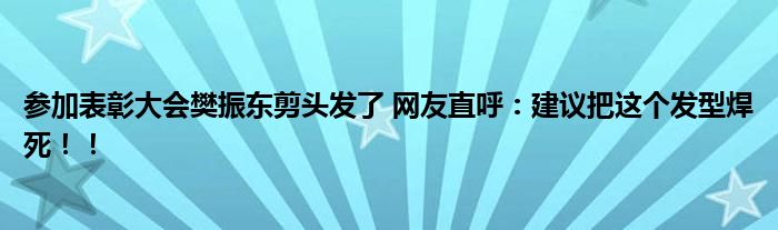 参加表彰大会樊振东剪头发了 网友直呼：建议把这个发型焊死！！