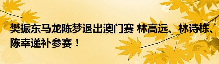 樊振东马龙陈梦退出澳门赛 林高远、林诗栋、陈幸递补参赛！